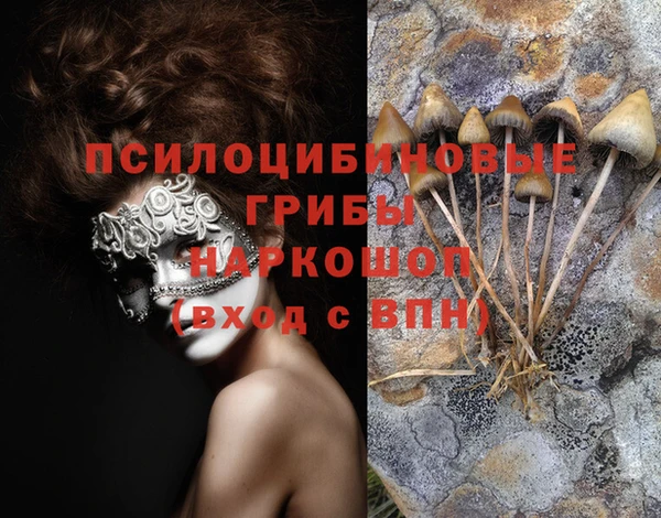 мескалин Белокуриха