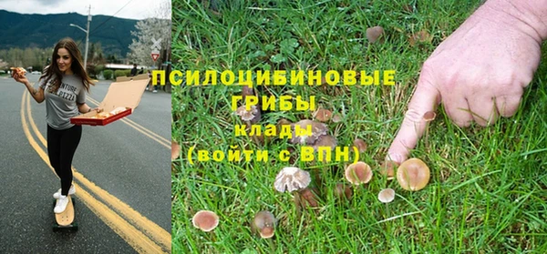 ешки Богданович