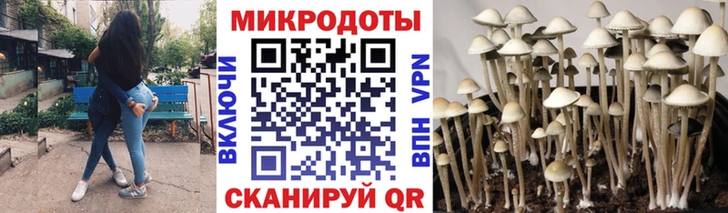 Галлюциногенные грибы MAGIC MUSHROOMS  Берёзовка 