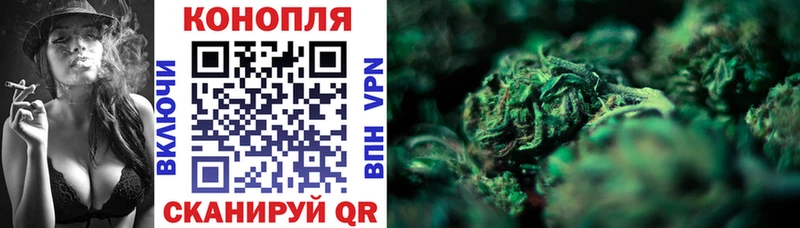 купить наркотик  Берёзовка  МАРИХУАНА VHQ 